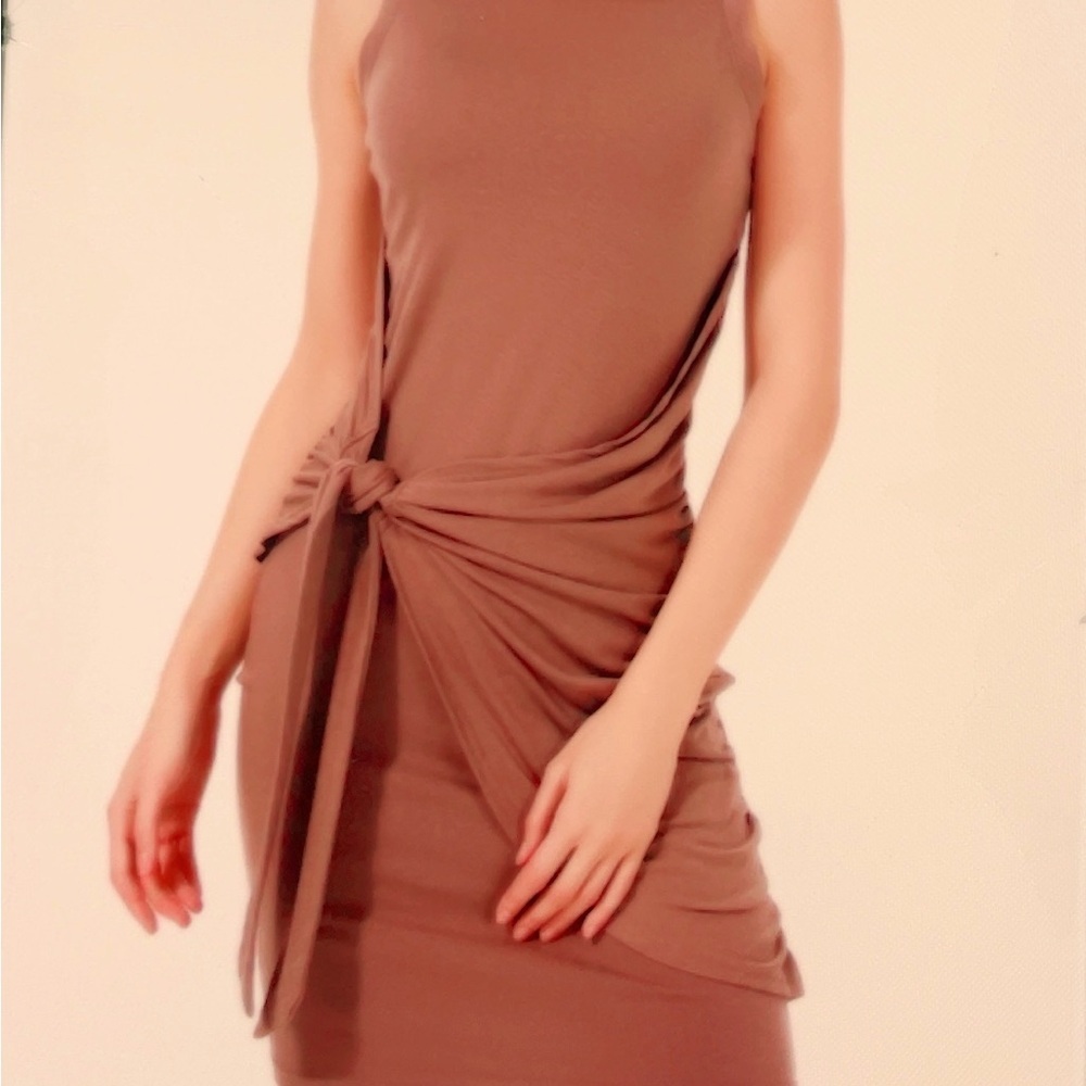 Elegant Brown Sleeveless Dress